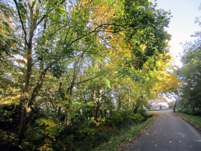 Herfstkleuren