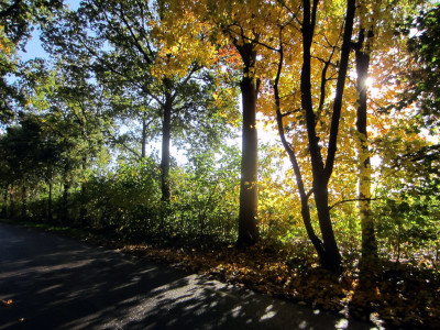 Herfstkleuren