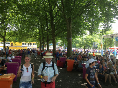 Onder de bomen bij de Wedren