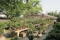 Humble Administrator's Garden