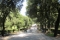 Villa Borghese Park