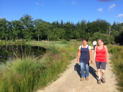 Ulvenhouts Bos