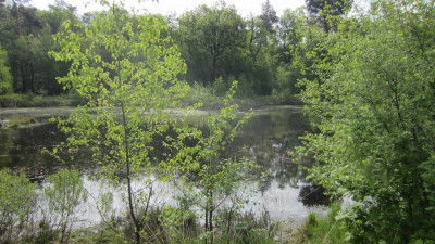 Meertje tijdens Wandelevent Achtmaal