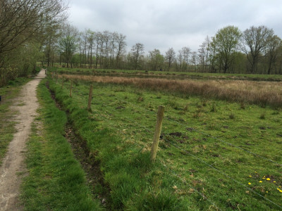 Padje in Pannehoef