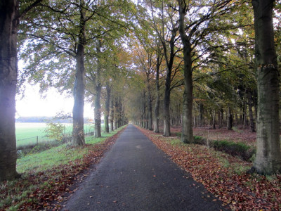 Herfstkleuren