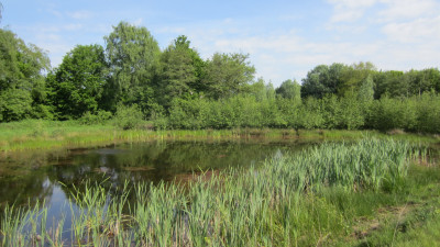 Vijver tijdens Wandelevent Rijsbergen