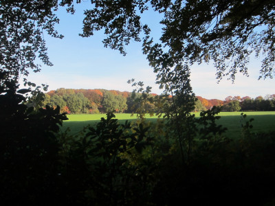 Herfstkleuren