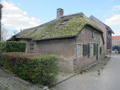 Huis met mos op rieten dak