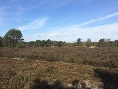 Omgeving bij Wandelevent Zundert 2015