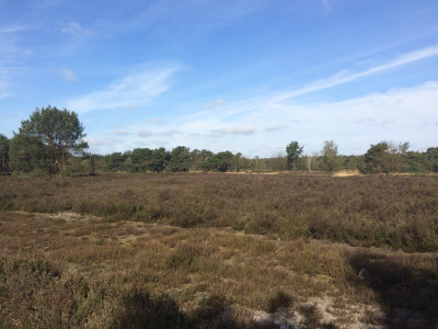 Omgeving bij Wandelevent Zundert 2015