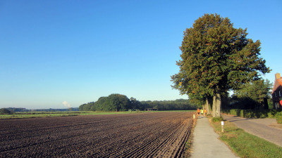 Herfstwandeling