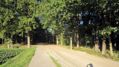 Herfstwandeling