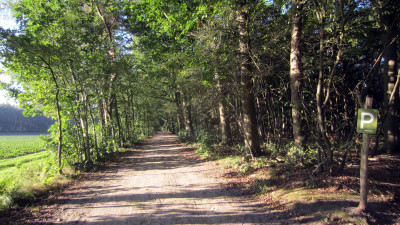 Herfstwandeling