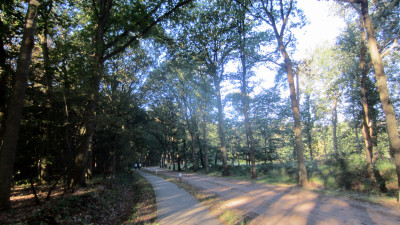 Herfstwandeling