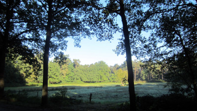 Herfstwandeling