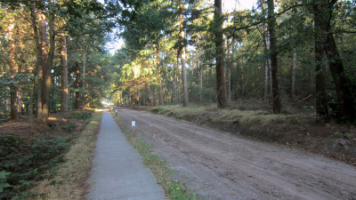 Herfstwandeling