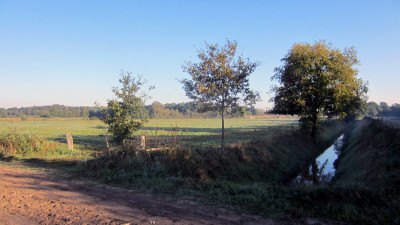 Herfstwandeling