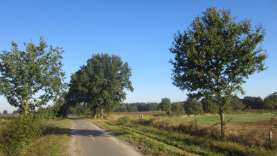 Herfstwandeling