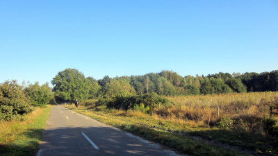 Herfstwandeling