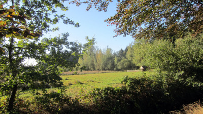 Herfstwandeling
