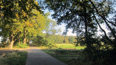 Herfstwandeling