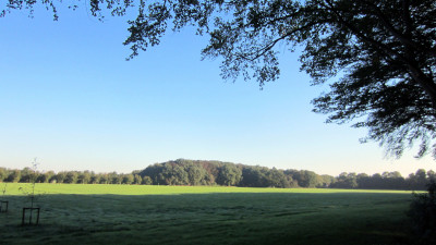 Herfstwandeling