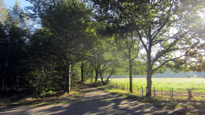 Herfstwandeling