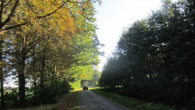 Herfstwandeling