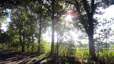 Herfstwandeling