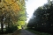 Herfstwandeling