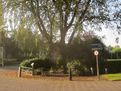 Herfst wandeltochtje