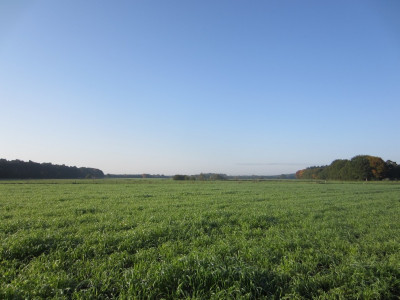 Herfst wandeltochtje