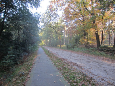 Herfst wandeltochtje