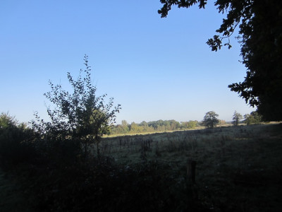 Herfst wandeltochtje