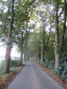 Herfst wandeltochtje