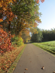 Herfst wandeltochtje