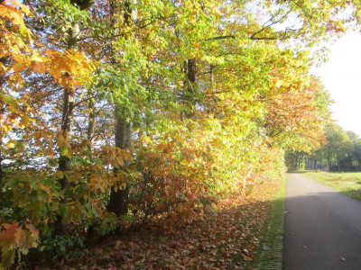 Herfst wandeltochtje