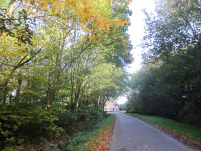 Herfst wandeltochtje