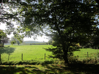 Herfst wandeltochtje