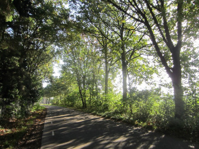 Herfst wandeltochtje