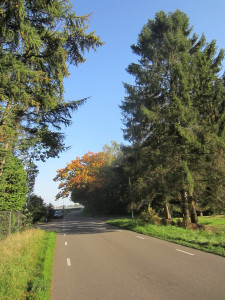 Herfst wandeltochtje