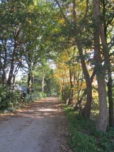 Herfst wandeltochtje