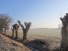 Snerttocht 2017 van Wandelclub Walking Activities