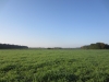 Herfst wandeltochtje