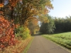 Herfst wandeltochtje