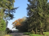 Herfst wandeltochtje