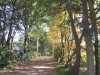 Herfst wandeltochtje