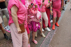 Roze Woensdag