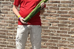 Gladiolen bij thuiskomst