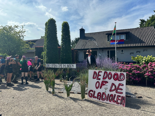 De Dood of de Gladiolen